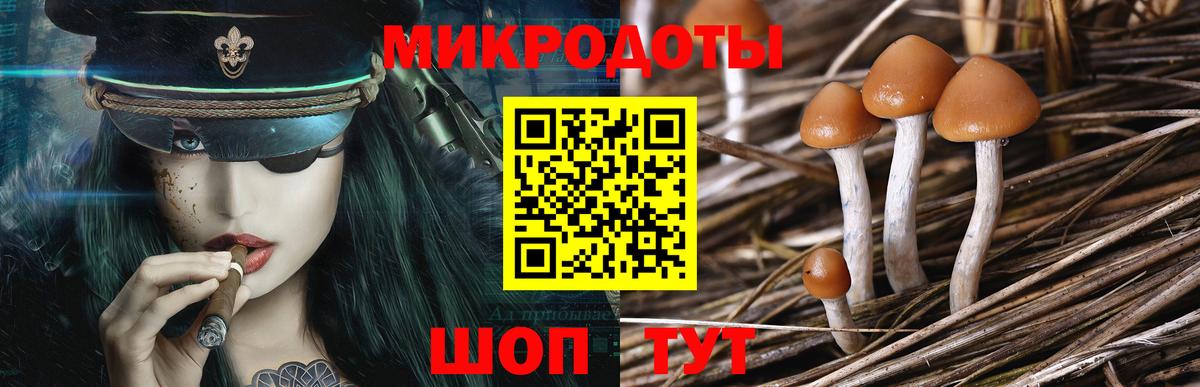 Белая Калитва  Галлюциногенные грибы MAGIC MUSHROOMS  Вход с VPN  Галлюциногенные грибы Psilocybe 